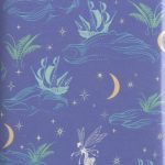 کتاب زبان انگلیسی پیتر پن13-peter pan