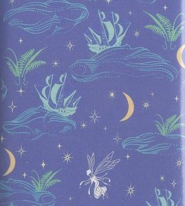 کتاب زبان انگلیسی پیتر پن13-peter pan