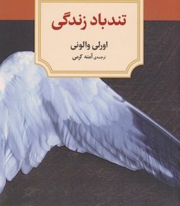 تندباد زندگی