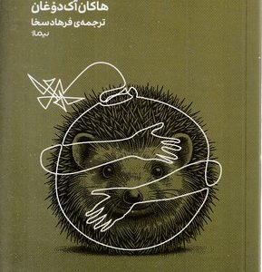 دو راهی جوجه تیغی