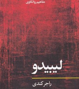 لیبیدو-مفاهیم روانکاوی
