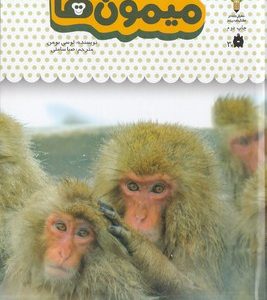یک فنجان دانستنی درباره ی 3-میمون ها