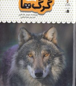 یک فنجان دانستنی درباره ی 4-گرگ ها