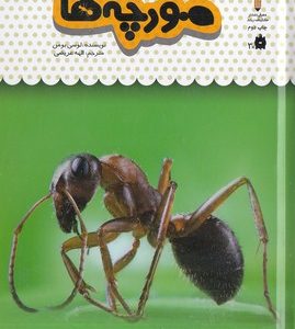 یک فنجان دانستنی درباره ی 22-مورچه ها