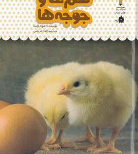 یک فنجان دانستنی درباره ی 14-تخم ها وجوجه ها