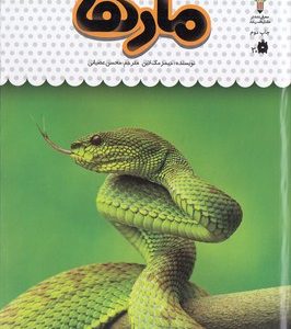 یک فنجان دانستنی درباره ی 19-مارها