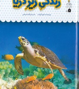 یک فنجان دانستنی درباره ی 31-زندگی زیر دریا