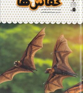یک فنجان دانستنی درباره ی 7-خفاش ها