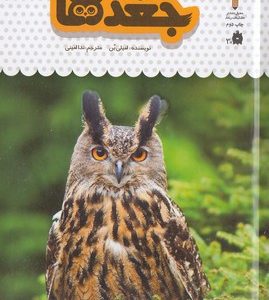 یک فنجان دانستنی درباره ی 11-جغدها
