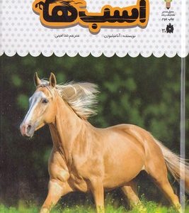 یک فنجان دانستنی درباره ی 16-اسب ها