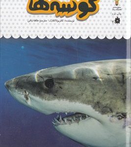 یک فنجان دانستنی درباره ی 10-کوسه ها