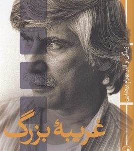 غریبه بزرگ
