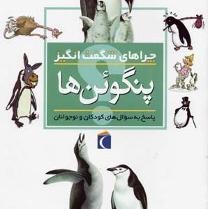 چراهای شگفت انگیز - پنگوئن ها