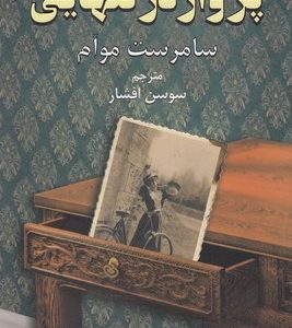 پرواز در تنهایی