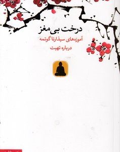 درخت بی مغز