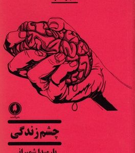 چشم زندگی