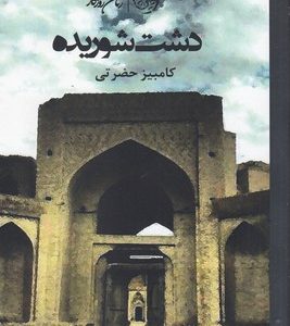 دشت شوریده