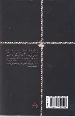 پیلوت 2 پیلوت - تصویر 2