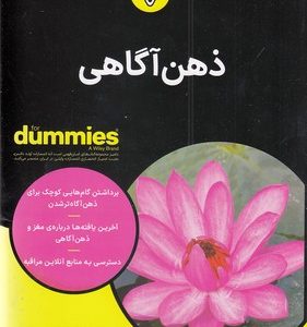 ذهن آگاهی