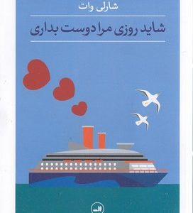 شاید روزی مرا دوست بداری