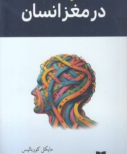 21 گشت کوتاه در مغز انسان