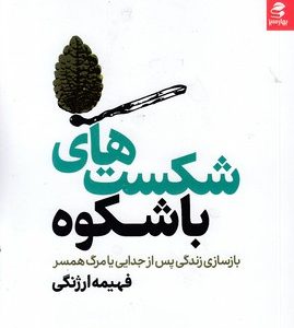 شکست های با شکوه
