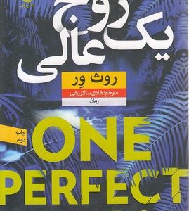 یک زوج عالی