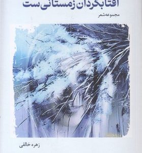 آفتابگردان زمستانی ست