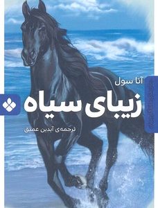 رمان ماندگار جهان-زیبای سیاه