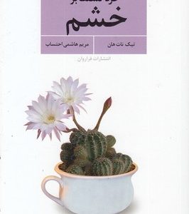 خرد تسلط بر خشم