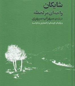 داریوش شایگانواحه ای در لحظه