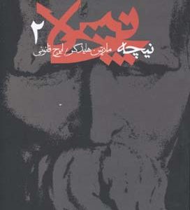 نیچه 2