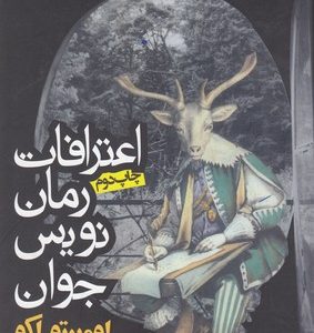 اعتراف یک رمان نویس جوان