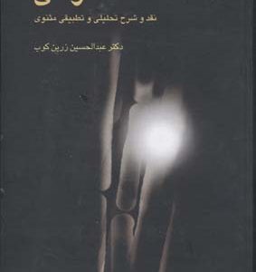 سر نی