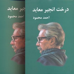 درخت انجیر معابد