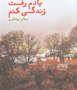 آزادی وسازمان