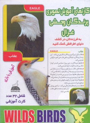 کارتهای آموزش تصویریپرندگان وحشی