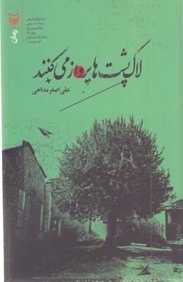 لاک پشت ها پرواز می کنند