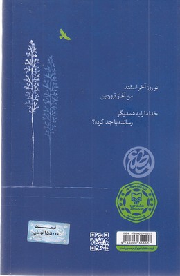 ابد - تصویر 2
