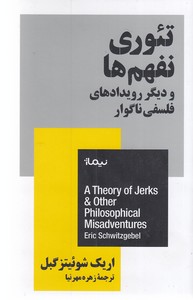 تئوری نفهم ها