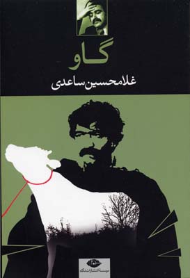 گاو