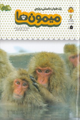 یک فنجان دانستنی درباره ی 3-میمون ها
