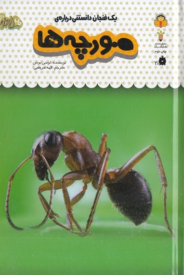 یک فنجان دانستنی درباره ی 22-مورچه ها