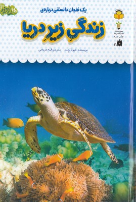 یک فنجان دانستنی درباره ی 31-زندگی زیر دریا
