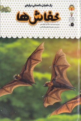 یک فنجان دانستنی درباره ی 7-خفاش ها