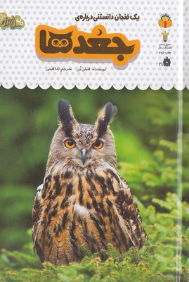 یک فنجان دانستنی درباره ی 11-جغدها