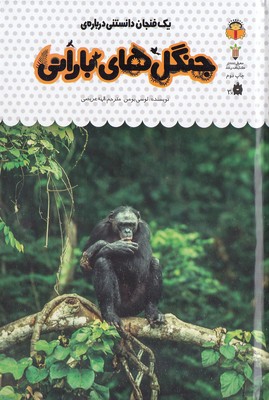 یک فنجان دانستنی درباره ی 33-جنگل های بارانی
