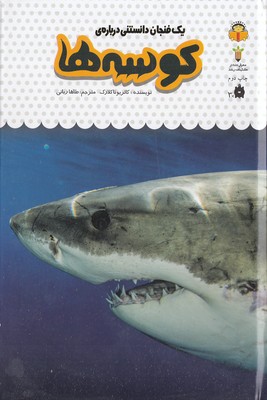 یک فنجان دانستنی درباره ی 10-کوسه ها