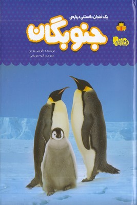 یک فنجان دانستنی درباره ی 54-جنوبگان