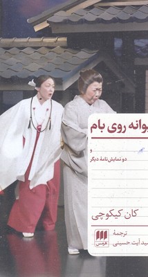 دیوانه روی بام